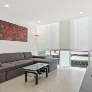 PLAZA CARSO: AMUEBLADO DE 1 RECAMARA