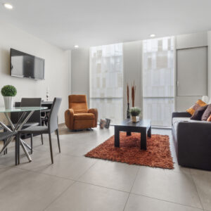 AMUEBLADO DE 1 RECAMARA